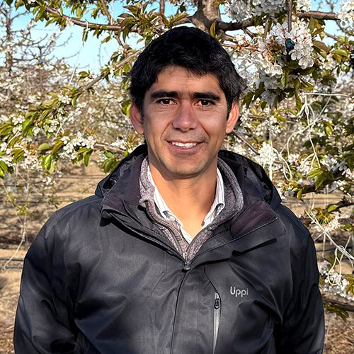 Cristóbal Méndez, gerente agrícola – B Cristóbal Méndez, gerente agrícola - B